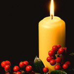 holly